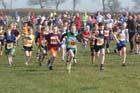 Orange start North East Harrier League, Prudhoe, Northumberland.